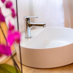 Deluxe Double Room Shower